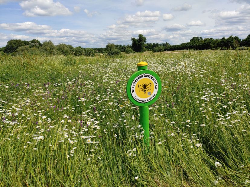 Bienenwoche zur Steigerung der Biodiversität auf hessischen Golfplätzen