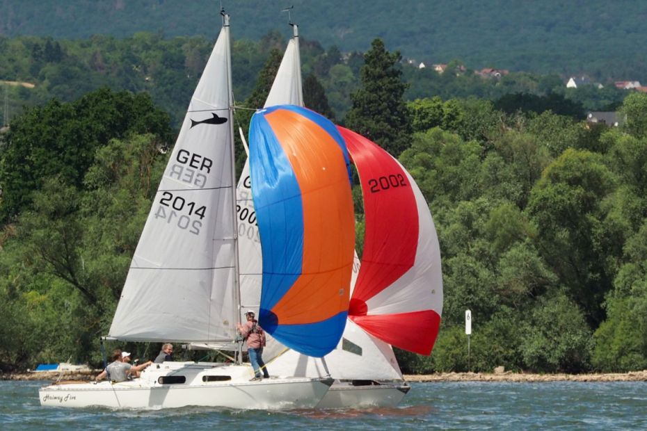 Impressionen von der Frühjahrsregatta auf dem Rhein bei Walluf    Bild: SCR