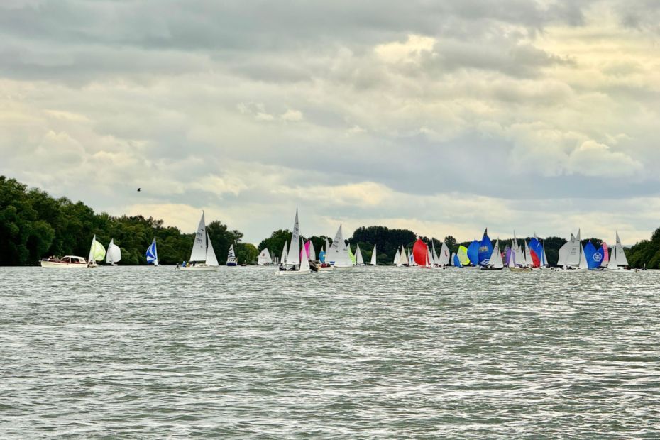100 Segelboote vor Walluf auf dem Rhein    Bild: Segelclub Rheingau e.V.