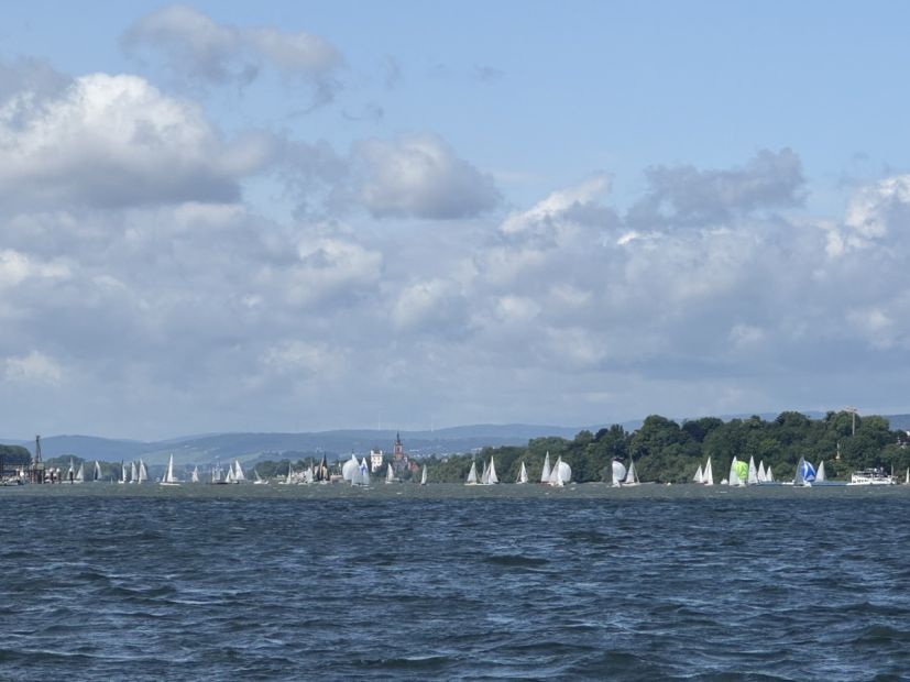 Das Regattafeld vor Eltville auf dem Rhein    Bild: Segelclub Rheingau e.V.