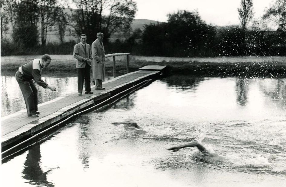 Vom Schwimmbad zum Naturschutzprojekt:Die „Alte Badeanstalt“in Korbach. Foto: Archive des TSV Korbach und der Kreisstadt Korbach