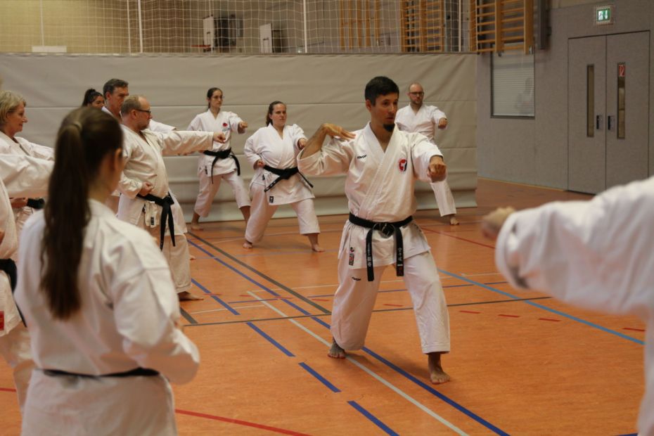 Taiji meets Karate mit Lenz Hocher, Taijiquan Assistenztrainer CTND    Bild: Martina Bier für den HFK