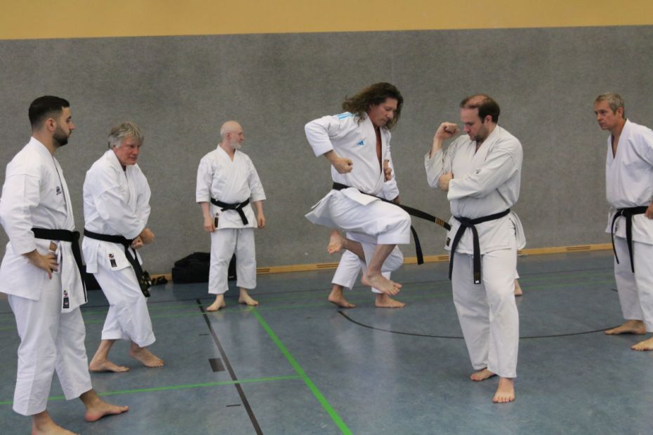 Sequenz aus der Kata Heian Godan    Bild: M. Bier für den HFK