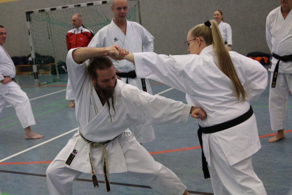 Sequenz aus der Kata Heian Godan    Bild: M. Bier für den HFK