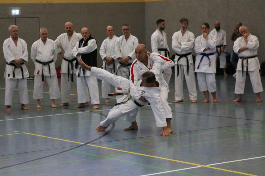 Amir Valadkhani -hinterer Sportler mit rot/weißer Jacke-  (Shotokan Stilrichtungsbeauftragter Hessen) führt eine Sequenz der Kata Heian Godan vor    Bild: M. Bier für den HFK