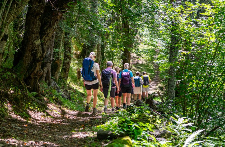 Bild: Adobestock_Frank_Lambert