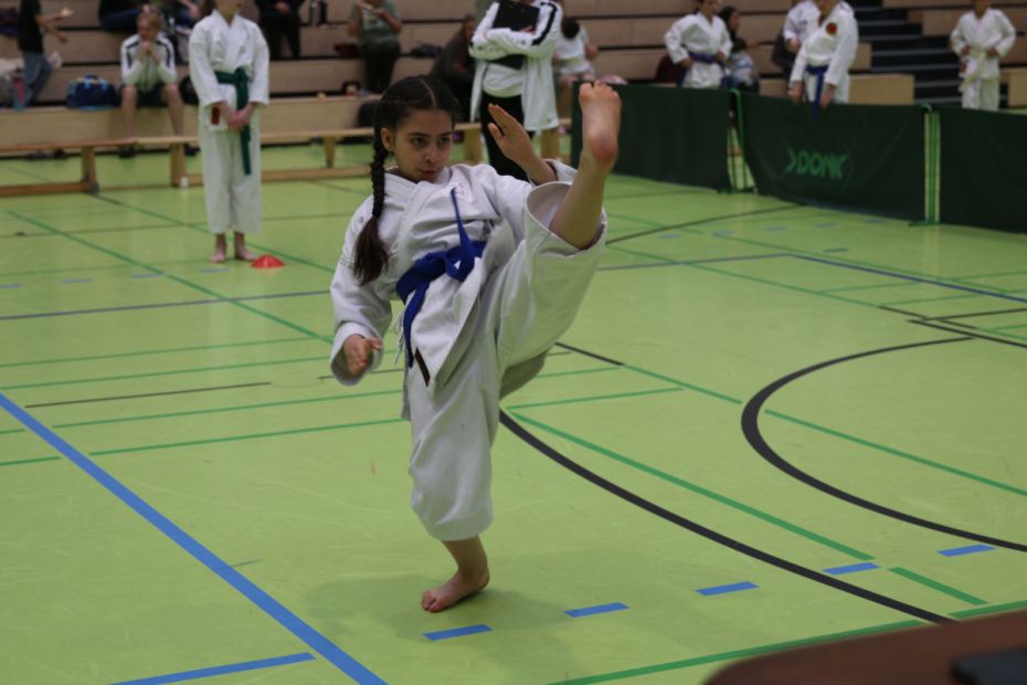 Kihon    Bild: Martina Bier (HFK Pressereferentin)