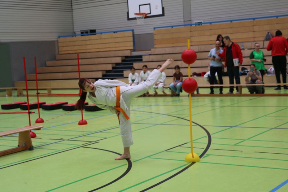 Kumite am Ball    Bild: Martina Bier (HFK Pressereferentin)