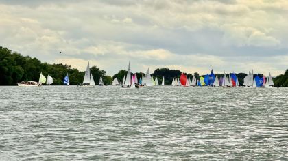 100 Segelboote vor Walluf auf dem Rhein                Bild: Segelclub Rheingau e.V.