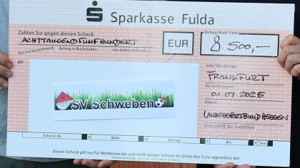 lsb h Förderung für SV Schweben