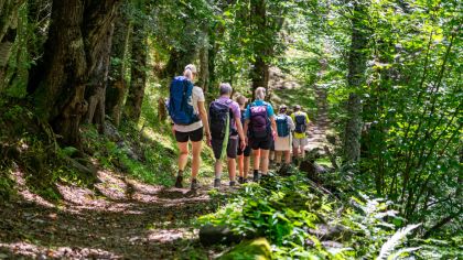 Bild: Adobestock_Frank_Lambert