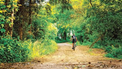 Sport im Wald muss die Interessen aller Waldnutzer berücksichtigen.Foto: pixabay.com