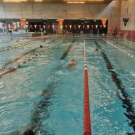 Im Taunabad Oberursel findet ab dem 20. Januar ein vereinsübergreifendes Schwimmtraining für Schüler der Jahrgänge 2011 bis 2013 statt.                Bild: Meik Kottwitz