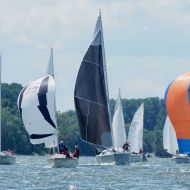 Impressionen von der Frühjahrsregatta                Bild: SCR Ansgar Knauf