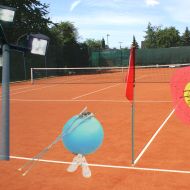 Für die unterschiedlichsten Maßnahmen rund um den Sportbetrieb erhielten jetzt 16 Sportvereine Zuschüsse.                 Fotos: P. Urbahn, G. Schoenemann, S. Hofschlaeger, J. Kuhlemann, R. Sturm, alle pixelio.de