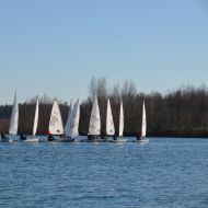 Die Boote am Start                Bild: Laukhardt