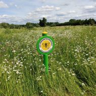 Bienenwoche zur Steigerung der Biodiversität auf hessischen Golfplätzen