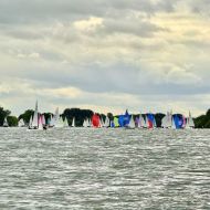 100 Segelboote vor Walluf auf dem Rhein                Bild: Segelclub Rheingau e.V.