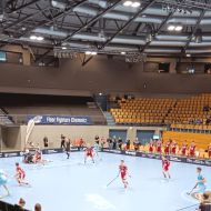 Final4 2025 in Zwickau