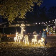 Adventstimmung im Biergarten direkt neben dem Vereinsgelände des Wassersportvereins Bergstraße e.V. am Heppenheimer Bruchsee                Bild: G. Probst