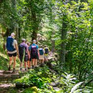 Bild: Adobestock_Frank_Lambert