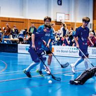 Nur elf Vereine sind dem Hessischen Floorball-Verband aktuell angeschlossen. Bei Jugendlichen ist der Sport aber durchaus beliebt, etwa im Schulsport. Foto: Thorsten Janz